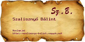 Szalisznyó Bálint névjegykártya